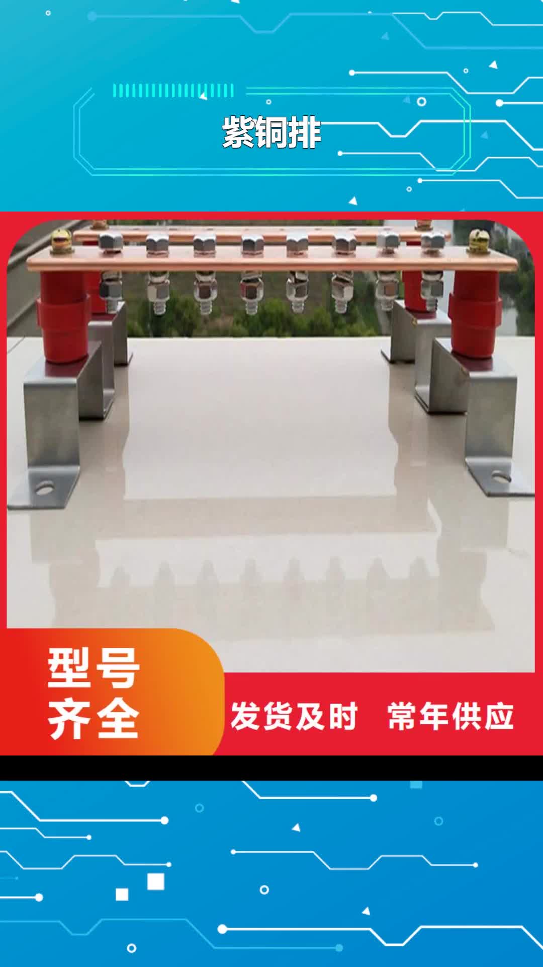 贵州【紫铜排】-黄铜棒从源头保证品质