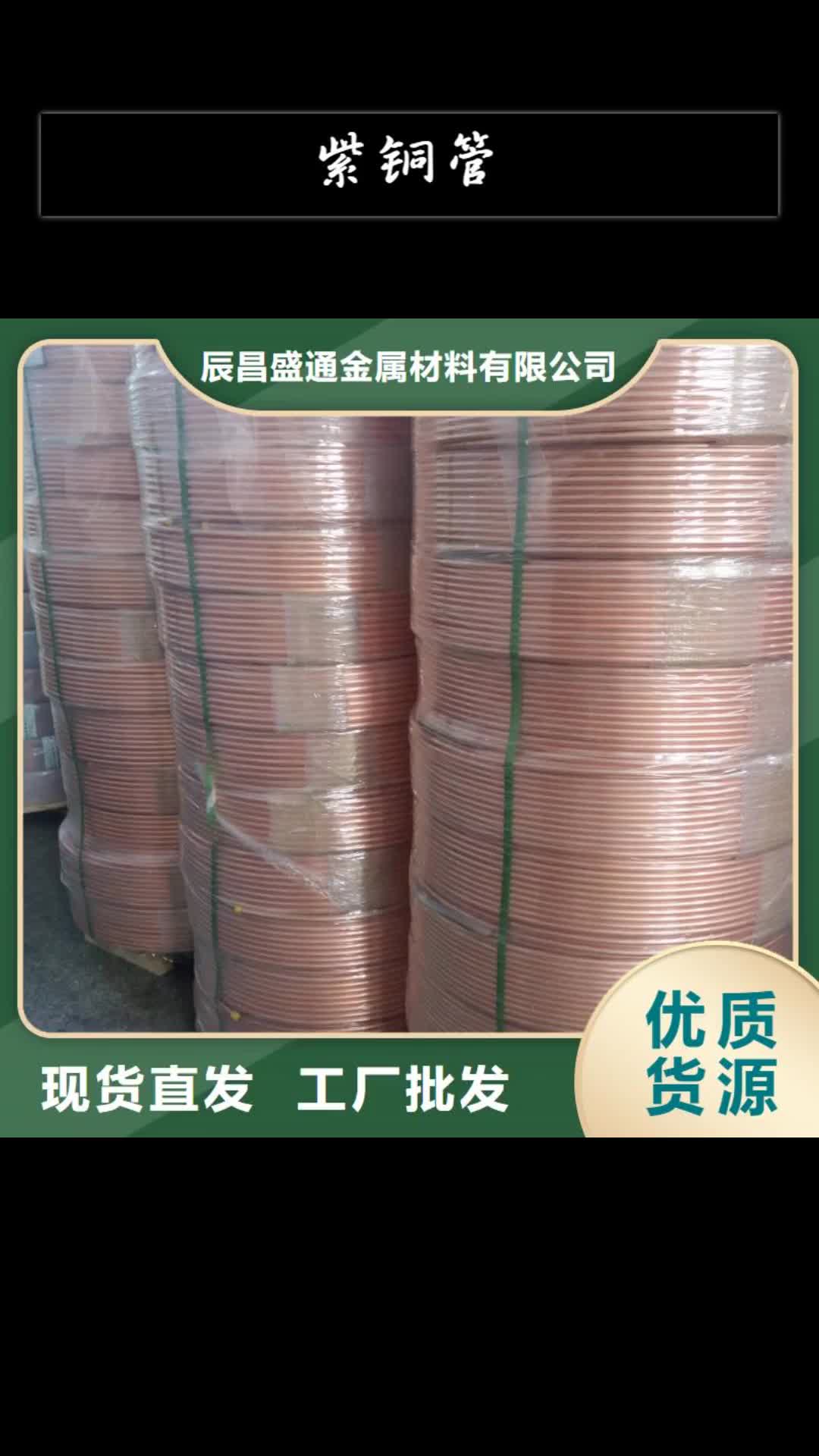 庆阳【紫铜管】-铜绞线质量看得见