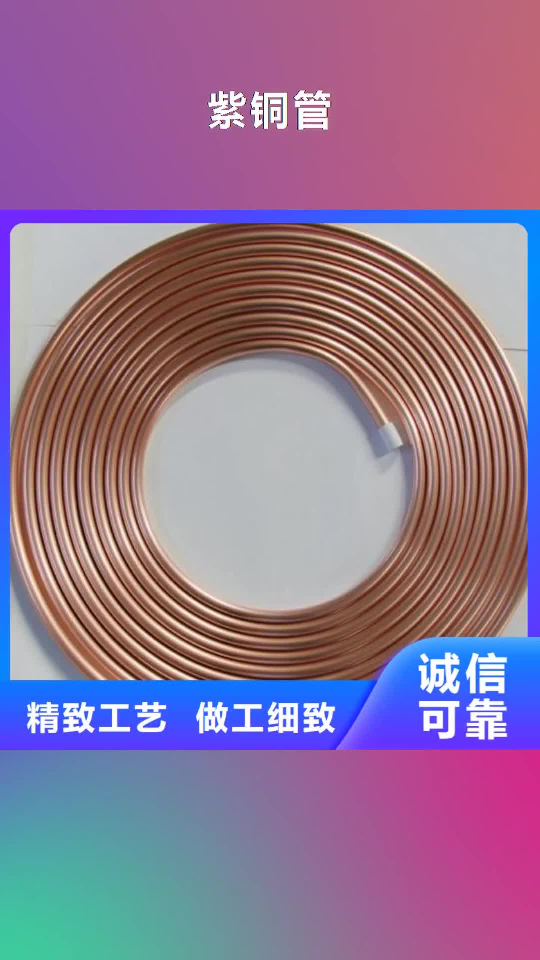 台州【紫铜管】 铜绞线实拍展现