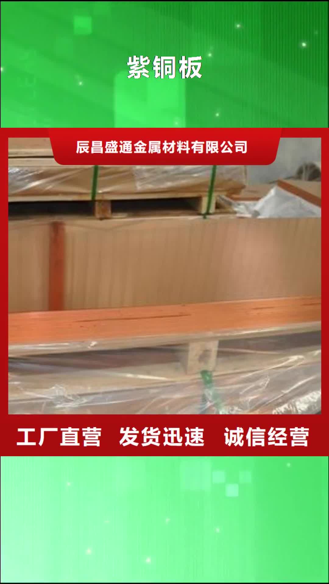 【常德 紫铜板紫铜棒好品质售后无忧】