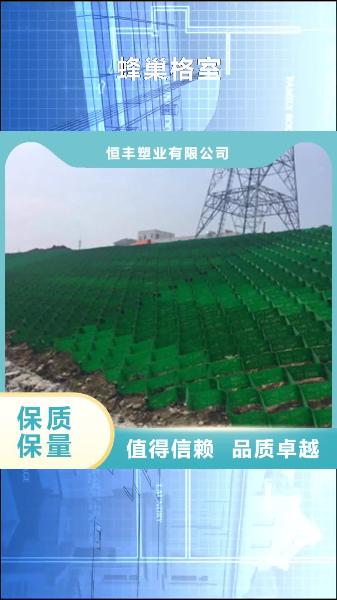 【淮北 蜂巢格室,土工格室超产品在细节】