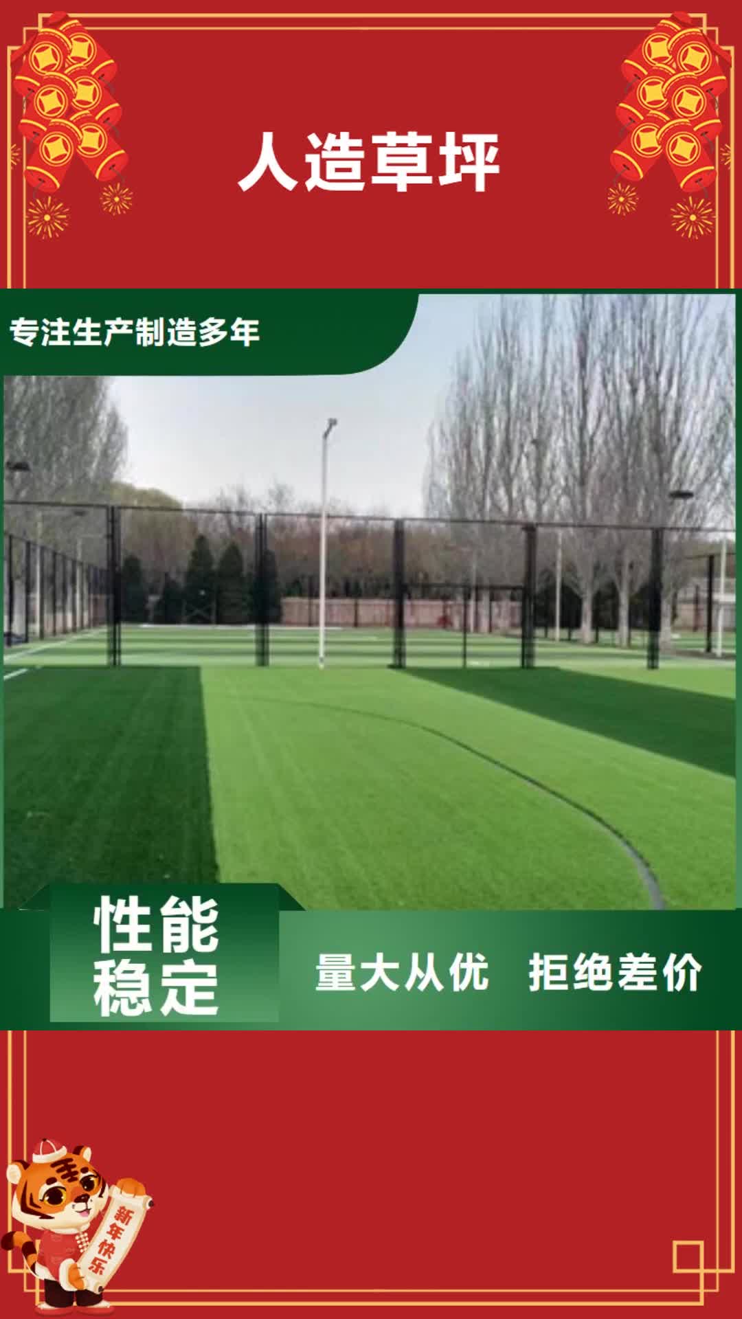 【西双版纳 人造草坪支持加工定制】