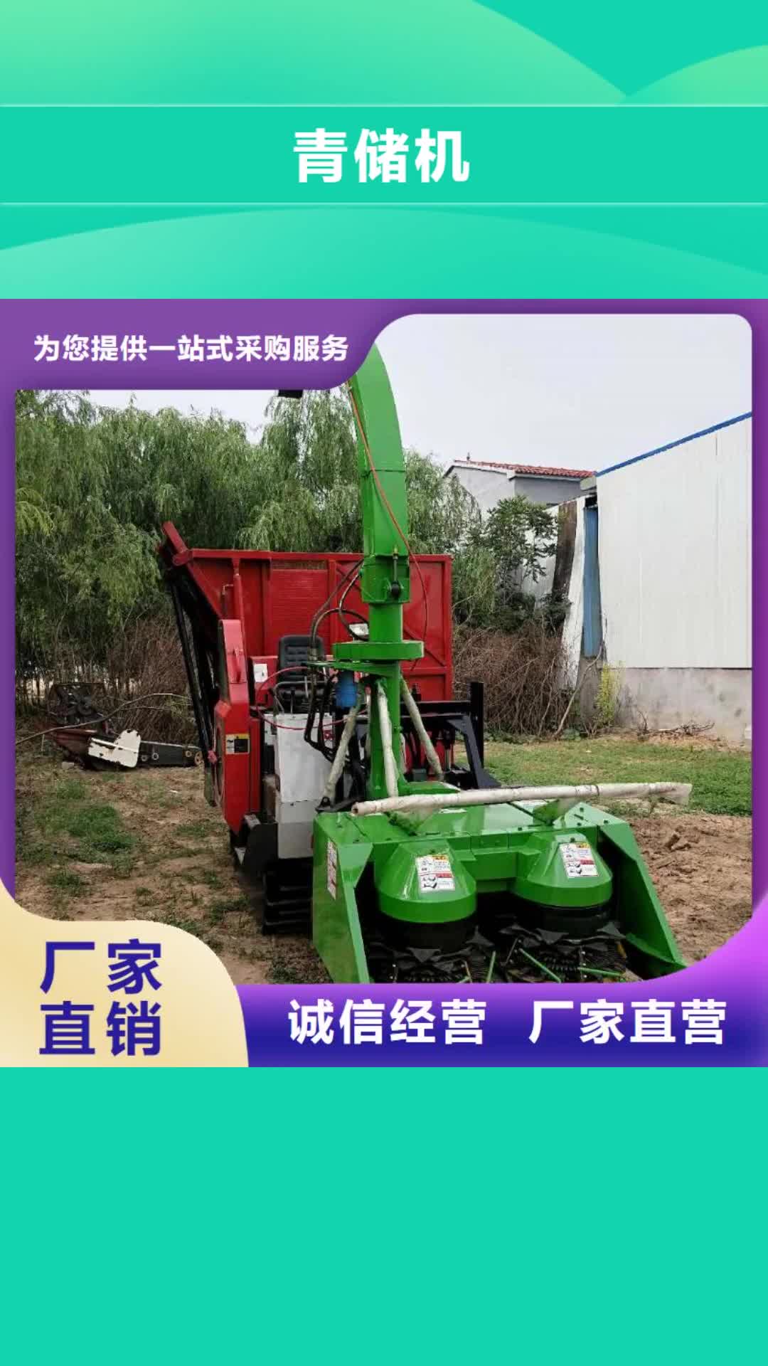 【保定 青储机 杜宾犬质量好】