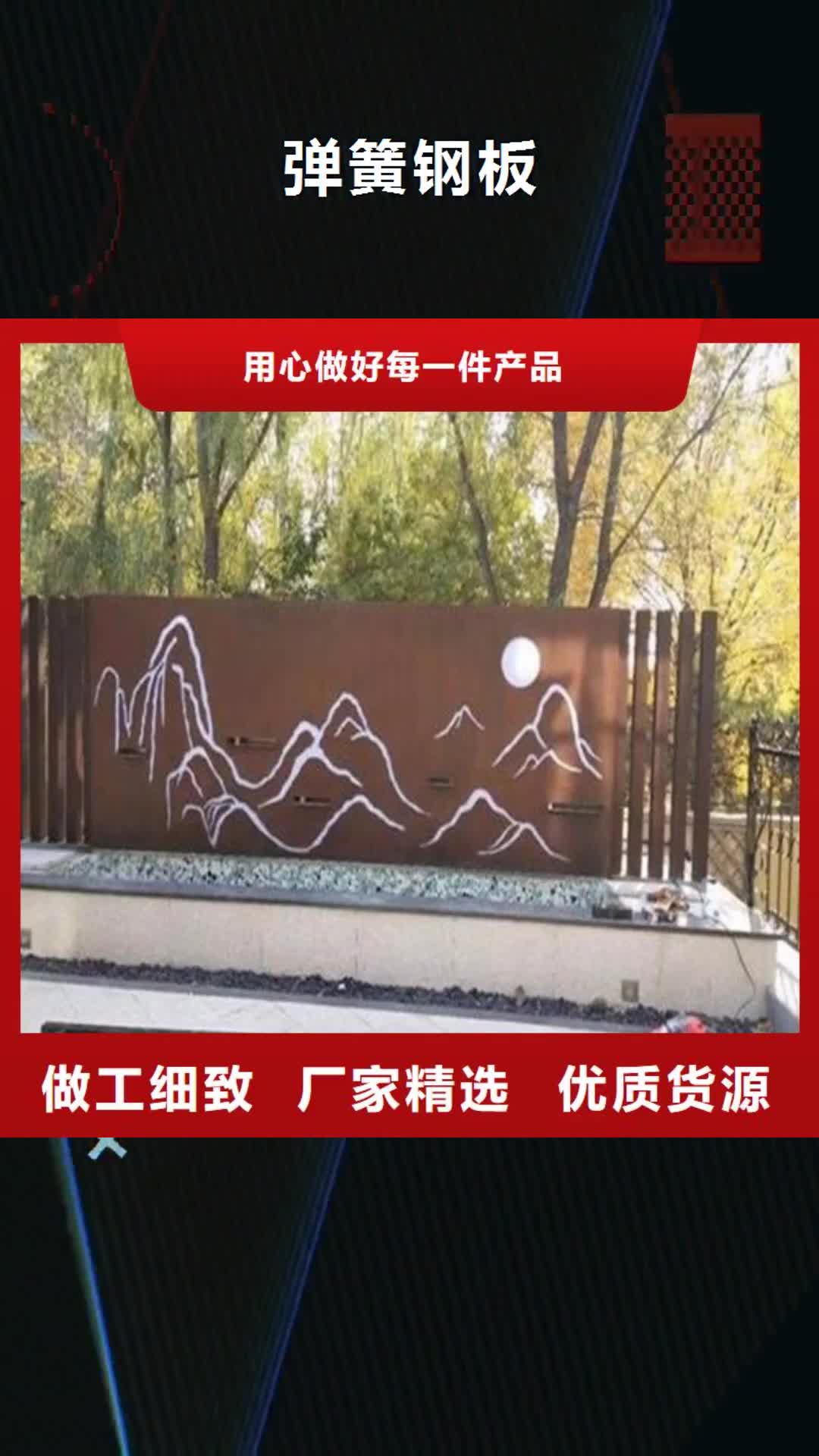 【佛山 弹簧钢板_合金钢板产地直销】