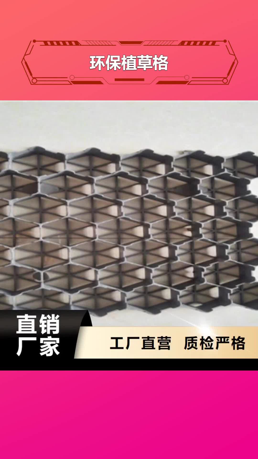 绍兴 环保植草格,【植草格厂家】细节决定成败