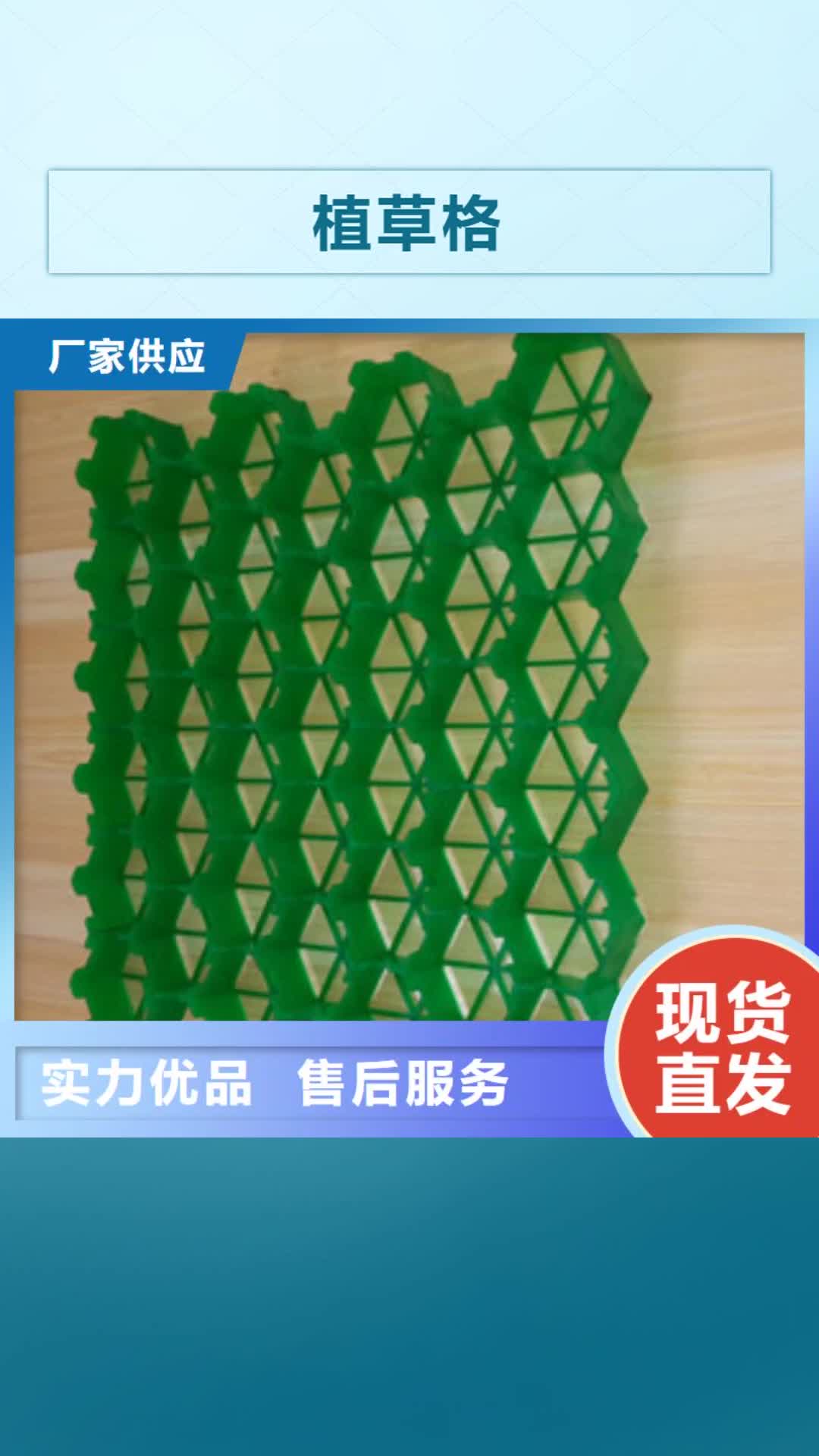 山南【植草格】 无纺布厂家产品细节参数