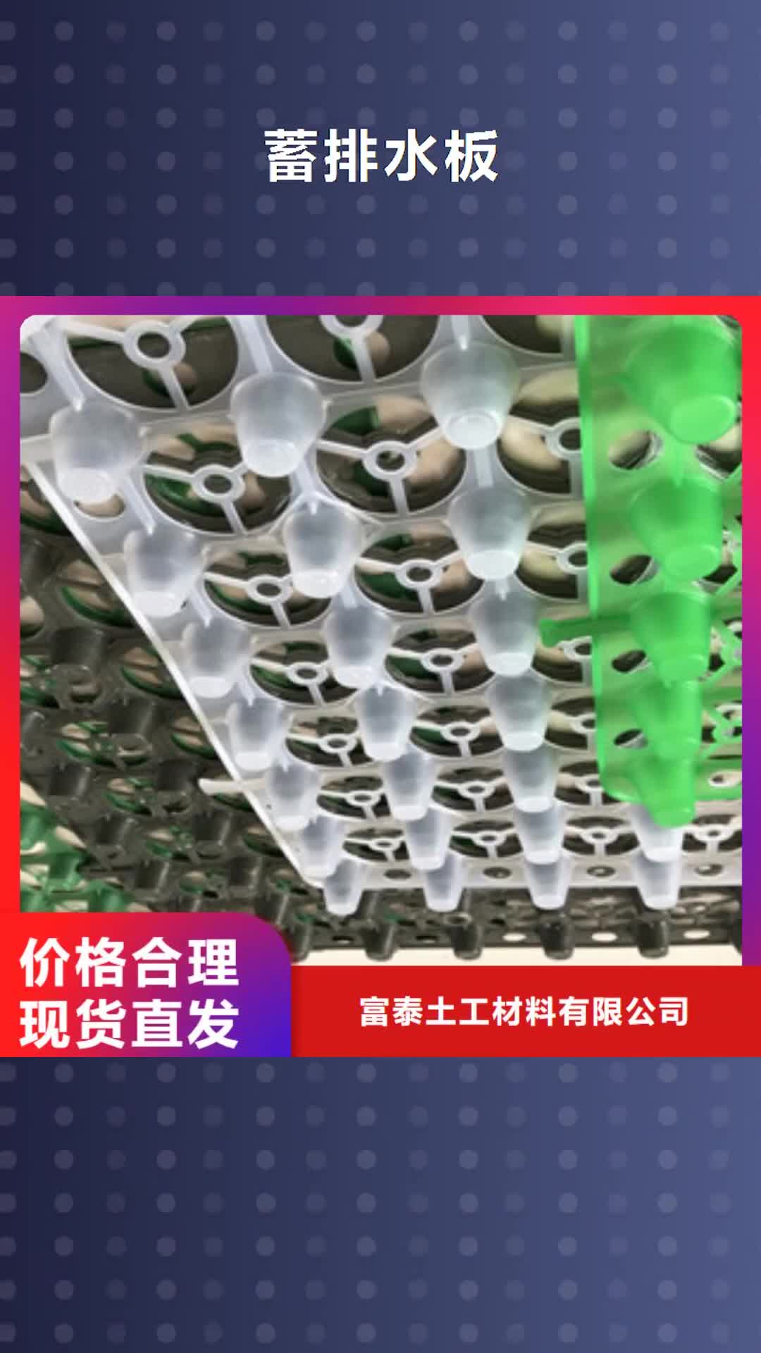 【安阳 蓄排水板-土工布厂家专业信赖厂家】